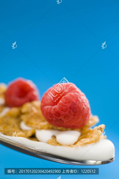 勺子上的玉米片