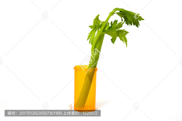 替代醫(yī)學的概念