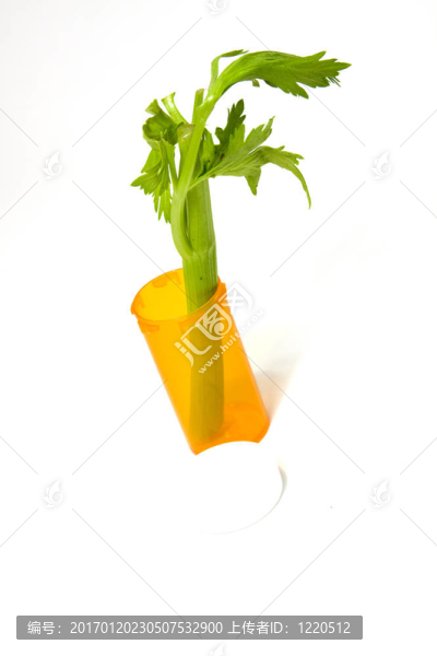 替代醫(yī)學(xué)的概念