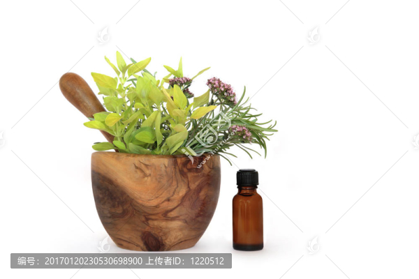 草本植物的選擇