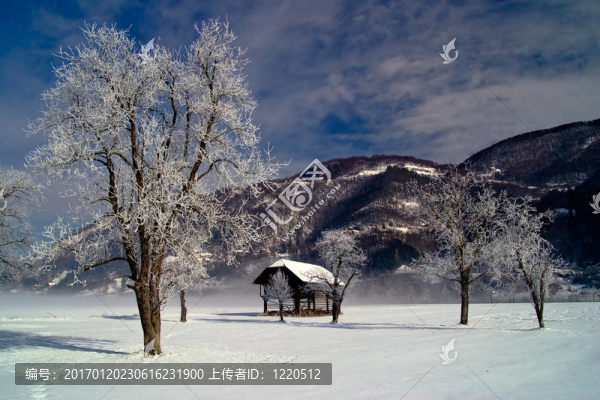 冬季景觀