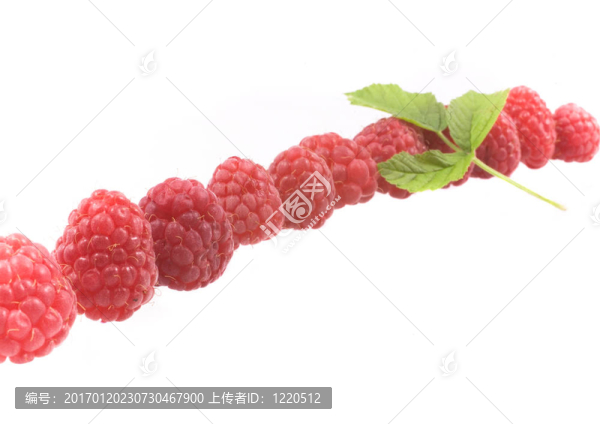 覆盆子