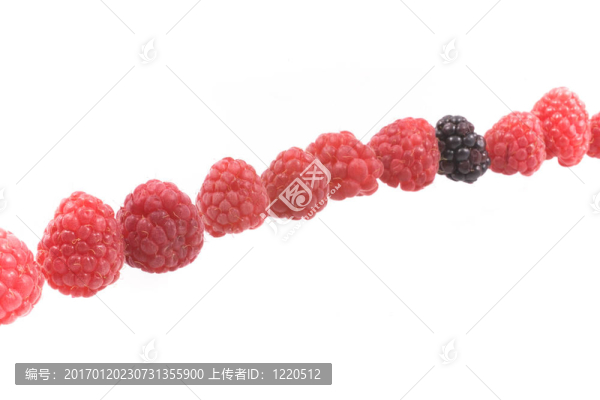 覆盆子