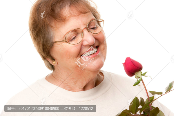 魅力的高級(jí)女人與Red,Rose