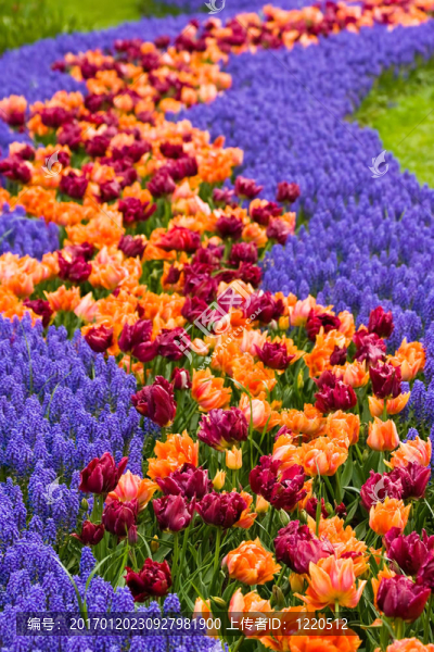 flowerpath