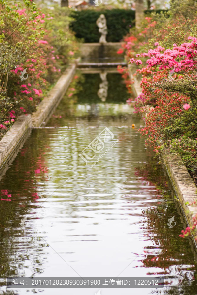 正式花園中的池塘