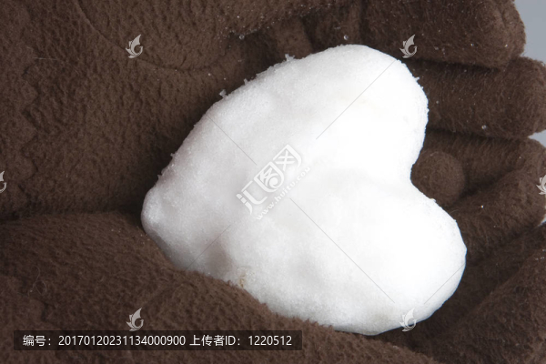 雪的心