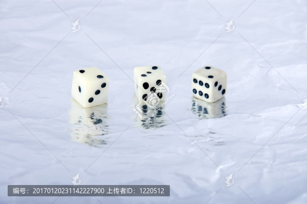 玩骨頭
