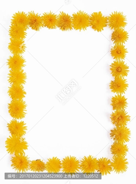 蒲公英-框架-匯圖網(wǎng) www.fosd68.com 蒲公英-框架