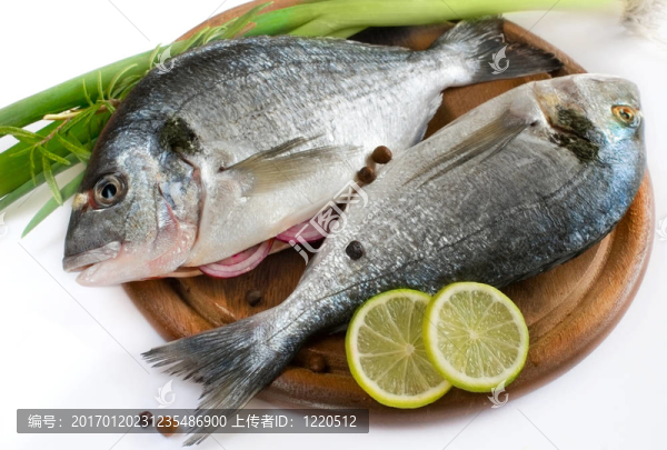 新鮮的魚(yú)-匯圖網(wǎng) www.fosd68.com 新鮮的魚(yú)