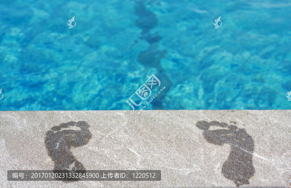 由游泳池的腳