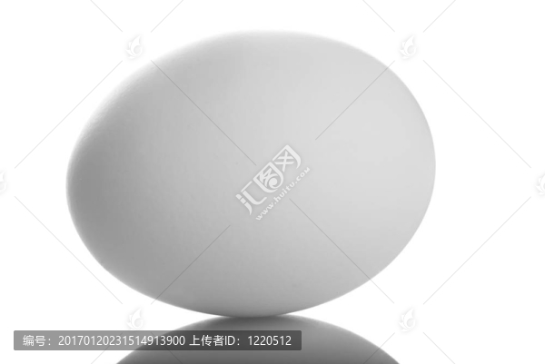 雞蛋