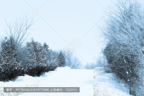 冬天的雪