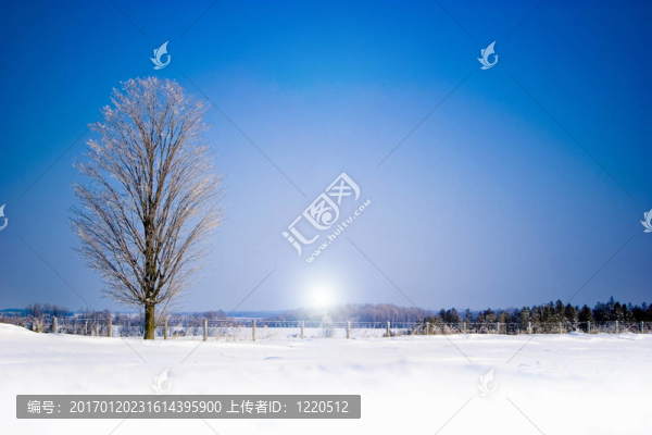 冬天的雪-匯圖網(wǎng) www.fosd68.com 冬天的雪