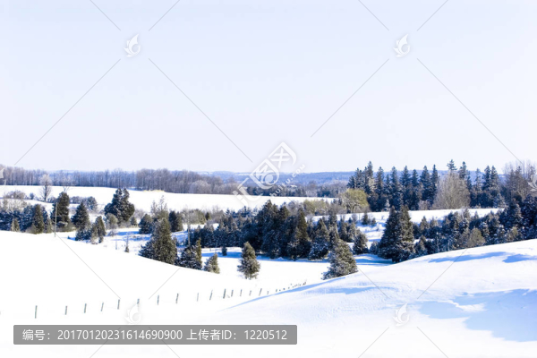 冬天的雪-匯圖網(wǎng) www.fosd68.com 冬天的雪