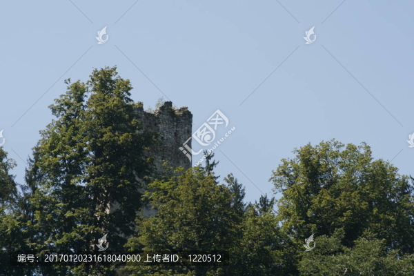 城堡遺址的潛存的樹