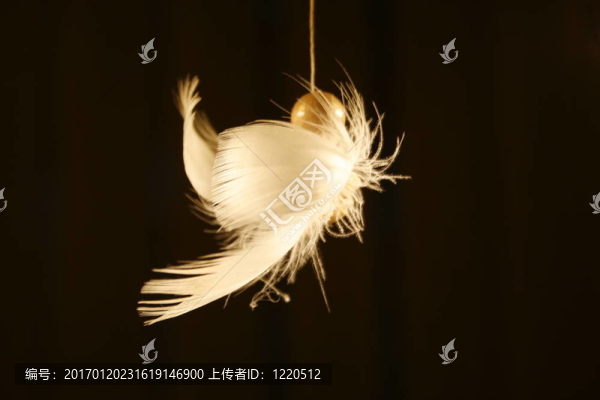 黑色背景前的天使