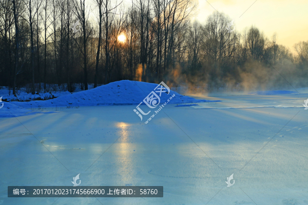 冰河樹林日出