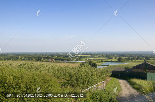 農村場景