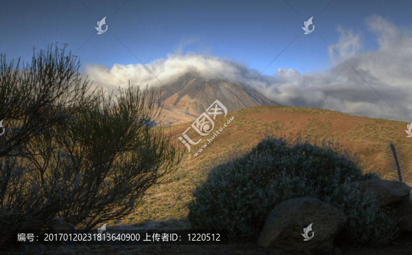 丁田