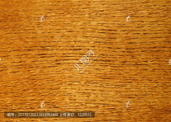 清漆木紋紋理背景的特寫。