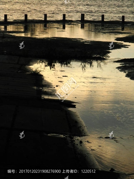 池塘附近的日落