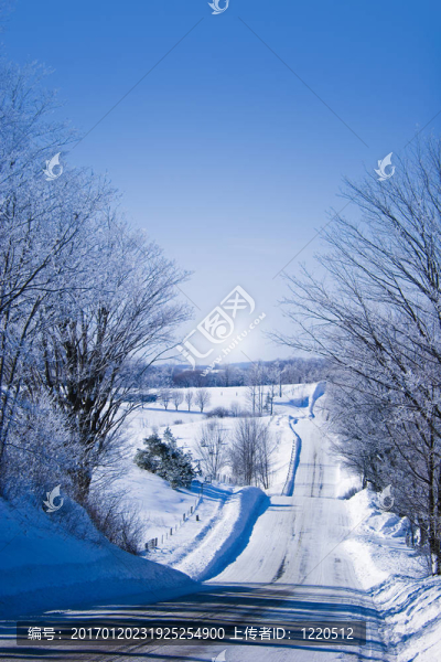 冬天的雪-匯圖網(wǎng) www.fosd68.com 冬天的雪