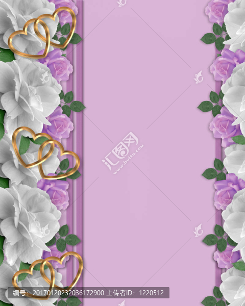 玫瑰白色和薰衣草的邊境