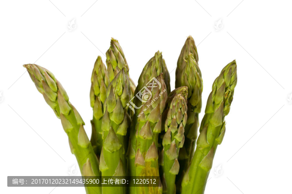 蘆筍