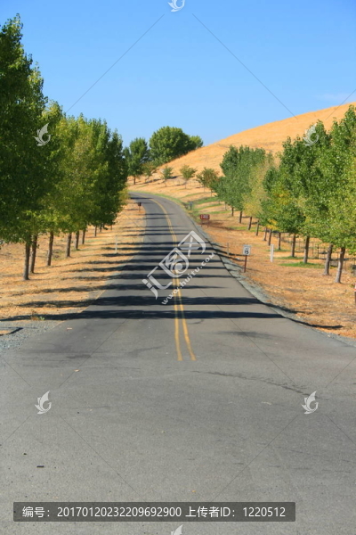 公園里的路