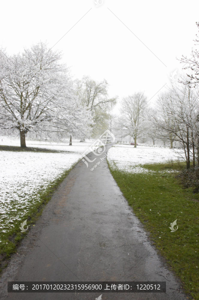 冬天的路徑-匯圖網(wǎng) www.fosd68.com 冬天的路徑