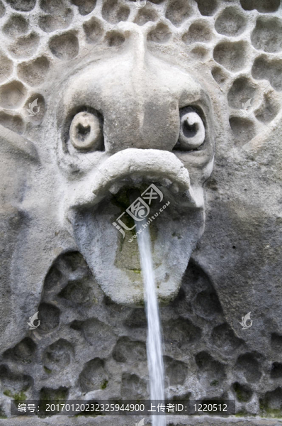 魚(yú)噴泉