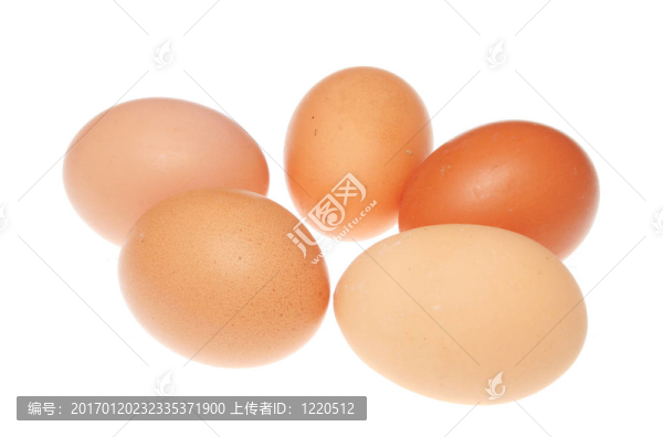 雞蛋