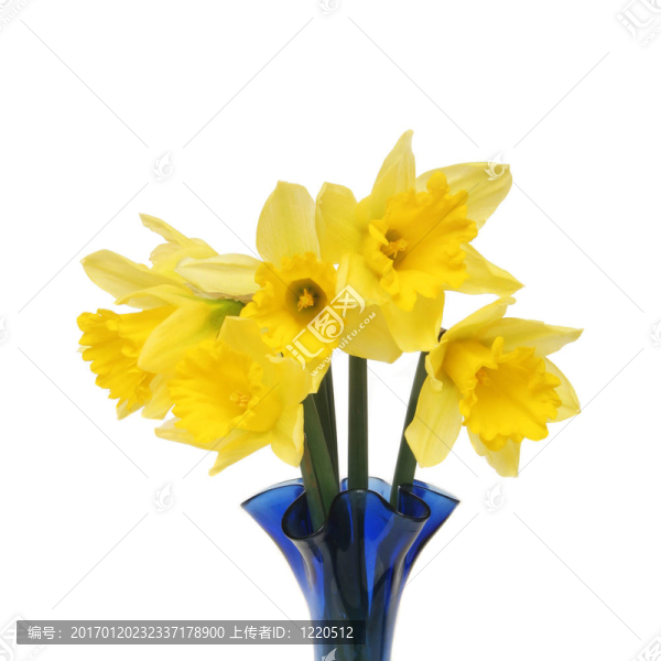 水仙花