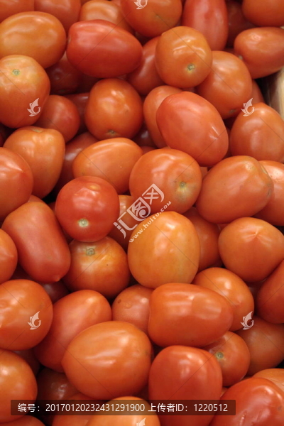束tomatoo啊
