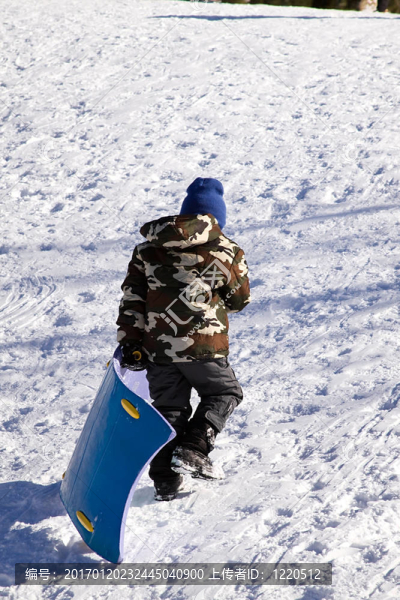 小男孩坐雪橇滑下Hill