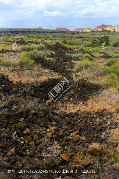 猶他的雪峽谷-匯圖網(wǎng) www.fosd68.com 猶他的雪峽谷