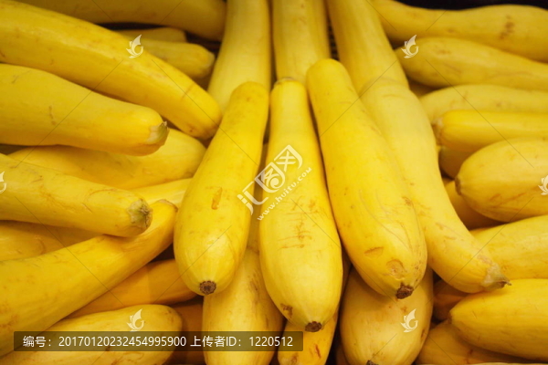 壁球-匯圖網(wǎng) www.fosd68.com 壁球