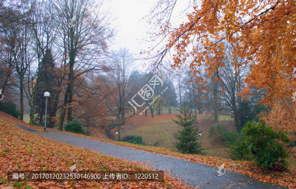 秋天的公園；落葉和燈籠