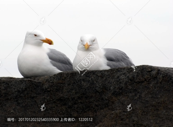 我認(rèn)識(shí)你嗎？
