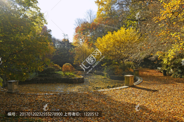 小塘公園的秋色