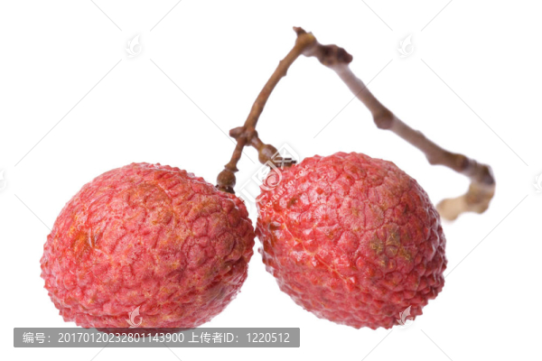 荔枝的宏