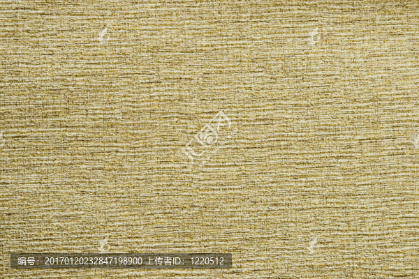 明亮的美紋紙