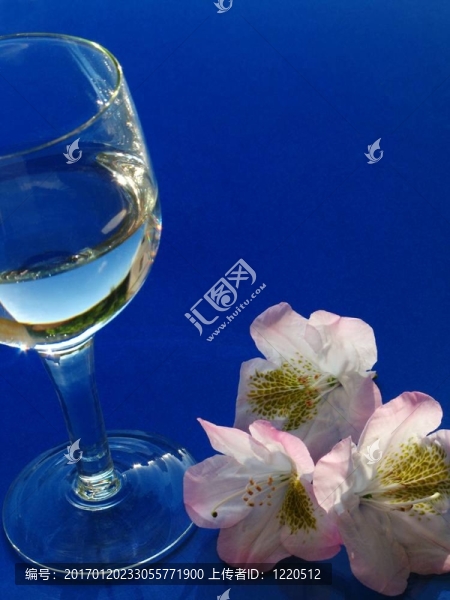 月桂和水玻璃