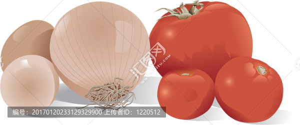 洋蔥的真實(shí)；雞蛋和西紅柿