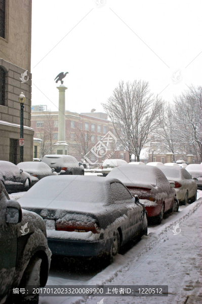 積雪覆蓋的汽車