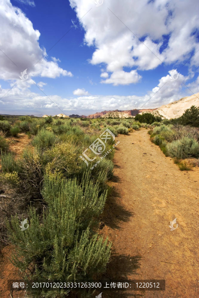到紅石山雪峽谷-猶他路-匯圖網(wǎng) www.fosd68.com 到紅石山雪峽谷-猶他路