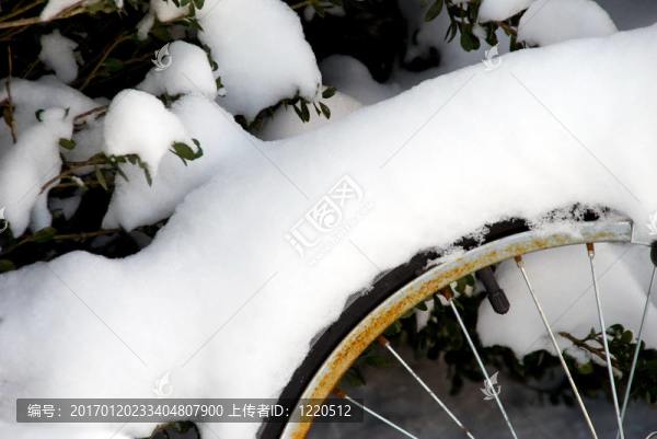 Snow自行車車輪