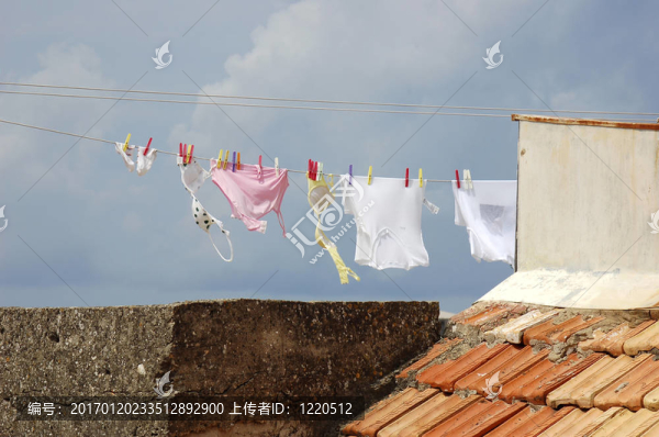 屋頂布線