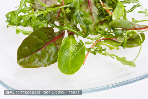 特寫鏡頭的沙拉